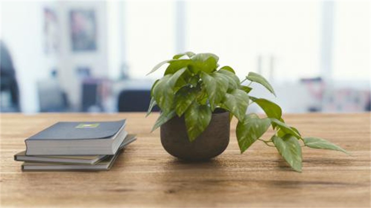 本科满1年才能报考外经贸在职研究生自考的学历可以吗？.jpg